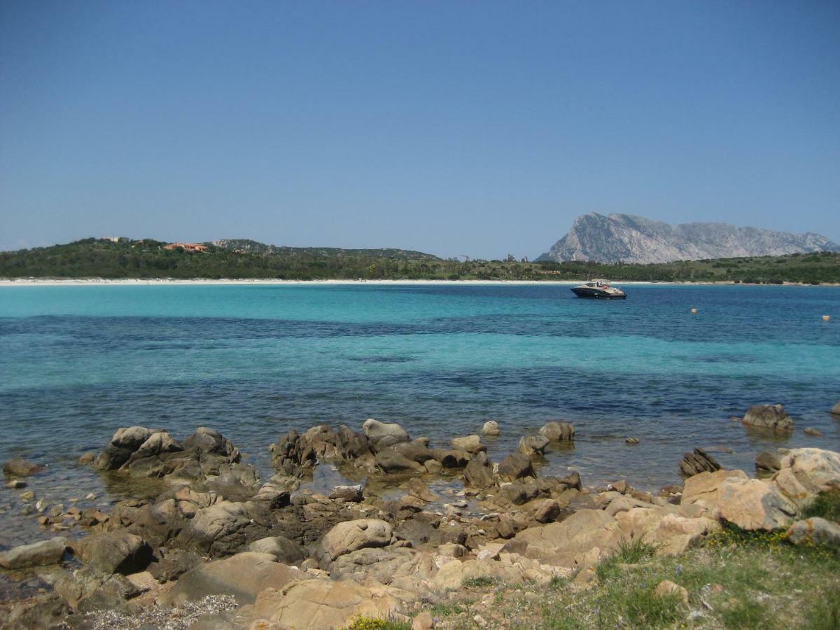 Appartamento via Alghero San Teodoro  Esterno foto